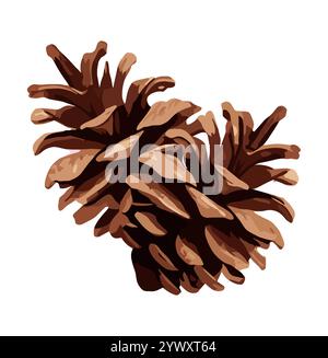 Vektorillustration der Tannenzapfen isoliert auf weiß Stock Vektor