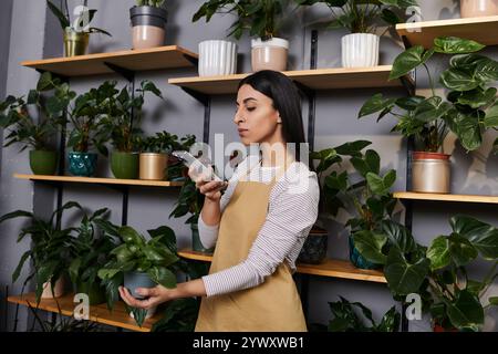 Eine Floristin in ihrem lebhaften Geschäft kümmert sich sorgfältig um eine Pflanze und kümmert sich dabei um ihre täglichen Aufgaben. Stockfoto