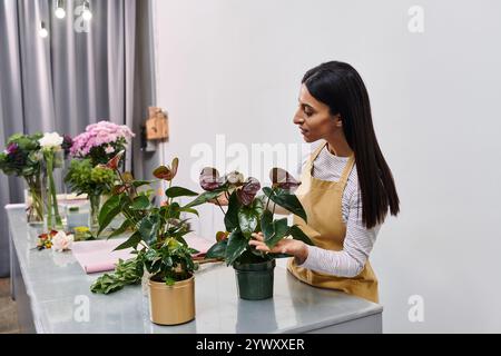 Schöne brünette Frau, die an einem sonnigen Tag in ihrem charmanten Blumenladen Pflanzen pflegt. Stockfoto