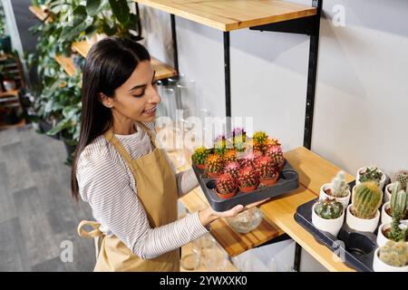 Brünette Pflanzenständler arrangieren in ihrem umweltfreundlichen Blumenladen lebendige Kakteen und zeigen ihre Fähigkeiten. Stockfoto