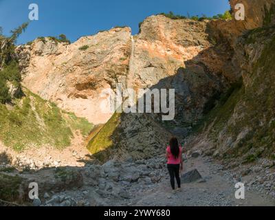Rinka fällt im Logartal, Slowenien. Rinka fällt im Logartal, Kamnik alpen, Slowenien Stockfoto