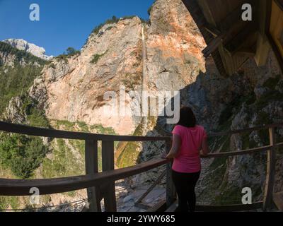 Rinka fällt im Logartal, Slowenien. Rinka fällt im Logartal, Kamnik alpen, Slowenien Stockfoto