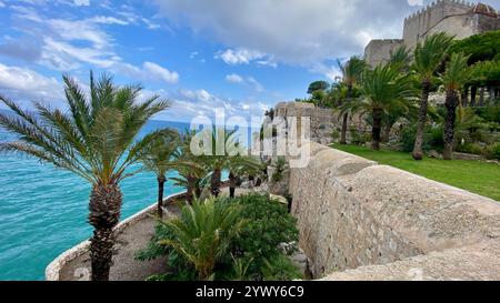 Wunderschöne Aussicht von einem Garten mit Palmen auf das Meer. Stockfoto