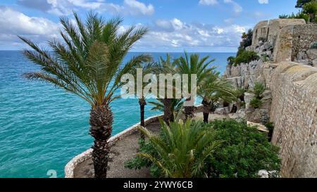 Wunderschöne Aussicht von einem Garten mit Palmen auf das Meer. Stockfoto