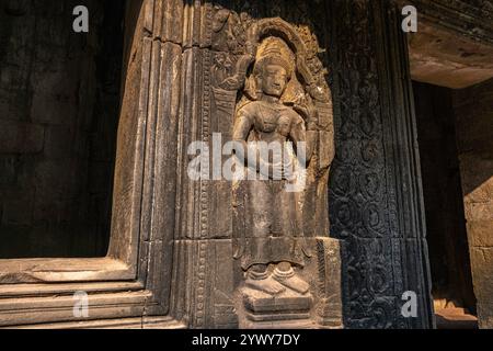 Kambodscha, 25.02.2024, Siem Reap, Angkor Tempel, TA Prohm, Khmer, Ruinen, Ruinen, khmer-Skulptur, khmer-Königreich, Basreliefs, traditionelle Kunst, Stockfoto