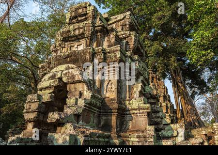 Kambodscha, 25.02.2024, Siem Reap, Angkor Tempel, TA Prohm, Khmer, Ruinen, Ruinen, khmer-Skulptur, khmer-Königreich, Basreliefs, traditionelle Kunst, Stockfoto