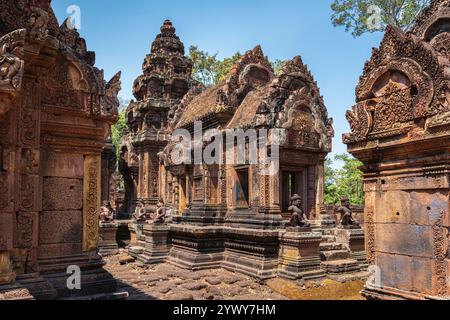 Kambodscha, Kambodscha, 26.02.2024, Siem Reap, Angkor-Tempel, Benteay Srei, Lady Temple, Khmer, Ruinen, Ruinen, Foto von Jean-Yves Bardin Stockfoto