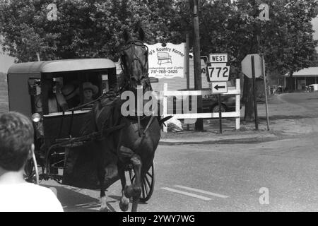 Pferdewagen auf einer Landstraße in Pennsylvania, USA, ca. 1986 Stockfoto