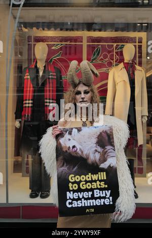 London, Großbritannien. Dezember 2024. Eine markante PETA-Ziege inszeniert einen Protest vor Burberry's Regent Street Store und fordert die Käufer auf, Kaschmir für grausame Alternativen abzulehnen. Die Kampagne hebt die harte Realität der Kaschmirindustrie hervor, in der Ziegen gewaltsam Haarentfernung und Schlachtung ausgesetzt sind. Der Aktivist hält ein Schild mit einer gefolterten Ziege und fordert die Käufer auf, „guten Willen zu Ziegen“ zu zeigen, indem er Kleidung aus tierischen Ursprungs vermeidet. (Kreditbild: © Joao Daniel Pereira/ZUMA Press Wire) NUR REDAKTIONELLE VERWENDUNG! Nicht für kommerzielle ZWECKE! Quelle: ZUMA Press, Inc./Alamy Live News Stockfoto