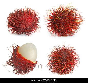 Frische tropische Rambutan-Früchte isoliert auf weiß, Set Stockfoto