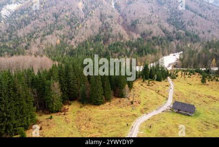 Drohne aus der Luft einer hölzernen Berghütte mit Blick auf das Herbsttal in den julischen alpen, slowenien. Urlaub Holzhaus Stockfoto