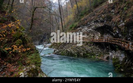 Holzsteg schlängelt sich im Herbst durch eine malerische Flussschlucht. Triglav Nationalpark Slowenien Stockfoto