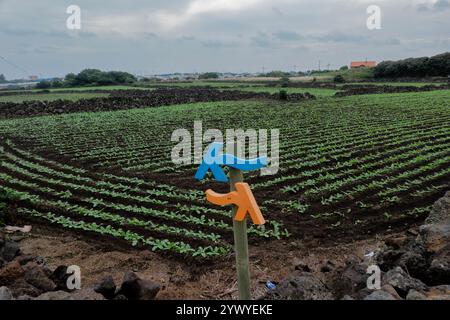 Wegweiser entlang des Jeju Olle Trail, Jeju Island, Südkorea Stockfoto