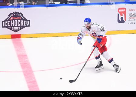 Pardubice, Tschechische Republik. Dezember 2024. Martin Kaut (CZE) in Aktion während des Spiels Tschechische Republik gegen Finnland der Swiss Hockey Games, Teil der Euro Hockey Tour, in Pardubice, Tschechische Republik, 12. Dezember 2024. Quelle: Josef Vostarek/CTK Photo/Alamy Live News Stockfoto