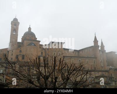 Urbino, Marken, Italien, Europa Stockfoto