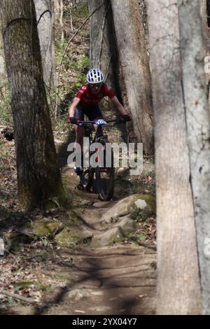 Cross Country Trail Race/XCO Race im WindRock Bicycle Park in Oliver Springs, Tennessee, USA. Stockfoto