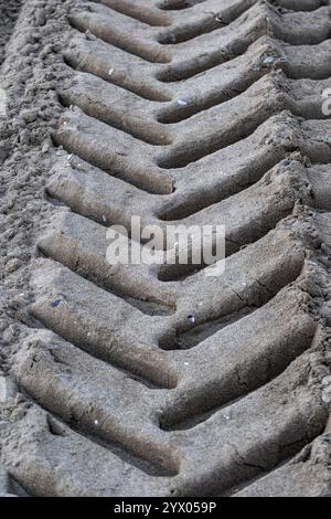 Die Reifenspuren im Sand sind tief und breit, was darauf hinweist, dass das Fahrzeug eine Weile durch den Sand gefahren ist Stockfoto