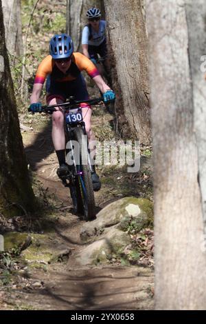 Cross Country Trail Race/XCO Race im WindRock Bicycle Park in Oliver Springs, Tennessee, USA. Stockfoto