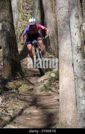 XCO-Rennen für Damen im WindRock Bicycle Park in Oliver Springs, Tennessee, USA. Stockfoto