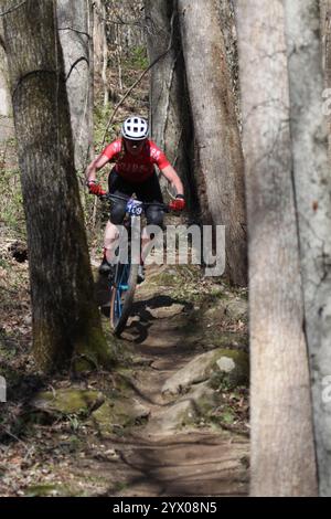 XCO-Rennen für Damen im WindRock Bicycle Park in Oliver Springs, Tennessee, USA. Stockfoto