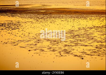 Goldene Strahlen der untergehenden Sonne werfen Licht auf das Meer und den Sandstrand und schaffen eine ruhige Küstenlandschaft bei Sonnenuntergang Stockfoto