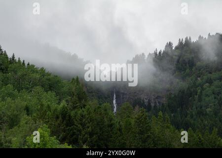 Ein ruhiger Wasserfall fällt durch einen üppigen Wald in den Bergen, dessen Wasser über moosbedeckte Felsen stürzt. Stockfoto