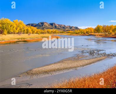 Herbstfarben entlang des Pulverflusses in der Nähe von broadus, montana Stockfoto