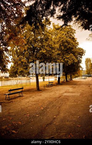 Herbstszene in kleinem Park mit gelbem warmen Ton und Straße im Vordergrund. Bäume und leere Bänke in der Ferne. Stockfoto