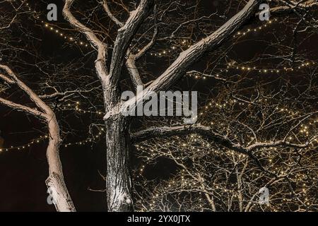 Wehende See-Effekt-Schneestraße gegen Straßentreme auf der Main Street in Ann Arbor, Michigan, USA Stockfoto