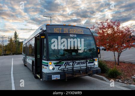 Geparkter Stadtbus mit der Aufschrift „Not in Service“ auf dem vorderen Schild, im Herbst an der UBCO Exchange in Kelowna in der Nähe von Bäumen mit leuchtenden roten Blättern Stockfoto