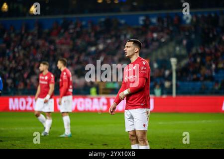 Krakau, Polen, 12. Dezember 2024, Ein Fußballspiel im 7. Spieltag der Polnischen 1. Liga zwischen Wisla Krakau und Miedz Legnica, OP: Angel Rodado Stockfoto