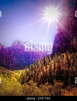 Die Sonne am Vormittag taucht das lebhafte Herbstlaub entlang des Upper Emerald Pool Trail im Zion National Park, Utah, und erzeugt einen warmen, goldenen Glanz. Stockfoto