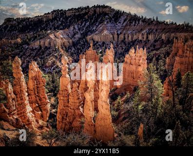 Die Felsformationen und Hoodoos des Bryce Canyon National Park, Utah, wie von Fairyland Point gesehen. Stockfoto