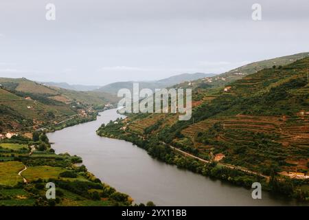 Der Fluss douro schlängelt sich durch terrassenförmig angelegte Weinberge und bildet eine malerische Landschaft im Herzen der Weinregion douro Valley in der Nähe des Hafens Mesao frio Stockfoto