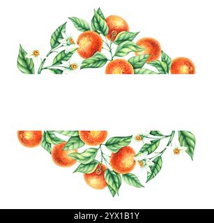 Botanische Aquarellillustration mit handgezeichneten Mandarinen Stockfoto