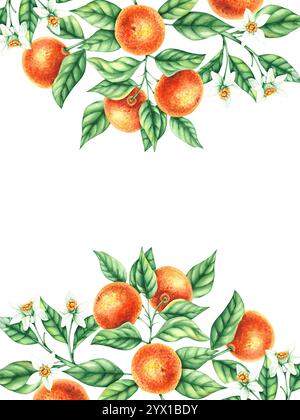 Botanische Aquarellillustration mit handgezeichneten Mandarinen Stockfoto