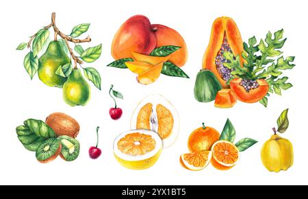Aquarelle Pflanzen Gemüse Botanische Illustrationen Stockfoto