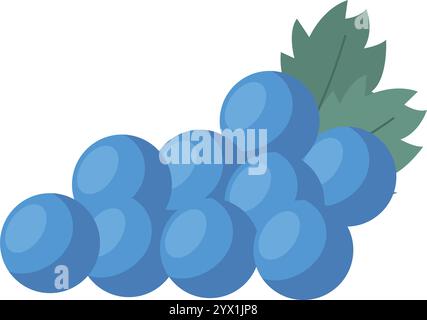 Blauer Traubenstrauch mit grünen Blättern für Wein Vektor Stock Vektor
