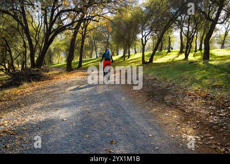 Foto eines Radfahrers auf einem von Bäumen gesäumten Schotterweg im Hidden Falls Regional Park in den Ausläufern der Sierra Nevada. Stockfoto