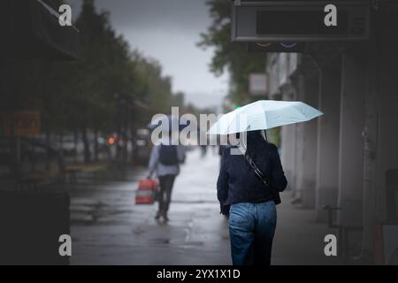 NOVI SAD, SERBIEN - 12. SEPTEMBER 2024: Menschen, die mit Regenschirmen auf Bulevar Oslobodjenja in Novi Sad an einem regnerischen Nachmittag spazieren gehen. Bulevar oslobodjenj Stockfoto