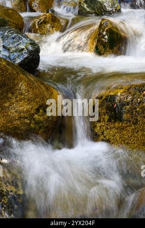 Frisches Bergwasser stürzt in seidenhafter Bewegung über Flussfelsen Stockfoto