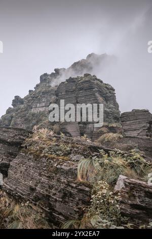 Adlerschnabel-Felsformation im Fanjing-Berg, umgeben von Wolken in Guizhou China Stockfoto