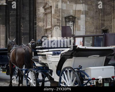 Klassische Pferdekutsche erwartet Sie im Stadtzentrum auf einer Kopfsteinpflasterstraße in Wien. Stockfoto