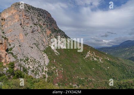 Blick auf steile felsige Gipfel, die aus den dicht bewaldeten Bergen steigen Stockfoto