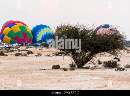 QATAR BALLOON FESTIVAL 2024 Teilnehmer bereiten während des Qatar Balloon Festival 2024 in Doha, Katar, am 13. Dezember 2024 einen Heißluftballon vor. Die 5. Ausgabe des Qatar Balloon Festivals fand hier vom 12. Bis 22. Dezember statt, und mehr als 50 Teilnehmer nehmen am Festival DOHA Qatar Teil Copyright: XNOUSHADx Stockfoto