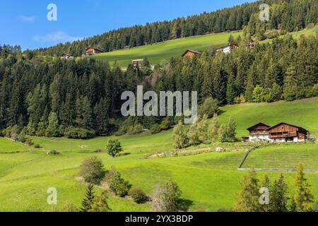 Dolomiten, Italien. Panoramablick auf die Dorfhäuser St. Magdalena oder Santa Maddalena im Sommer Stockfoto