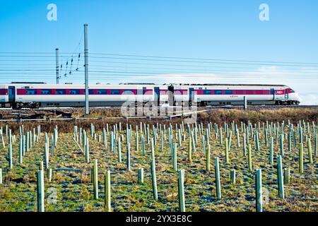 Azuma Train, Shipton by Beningbrough, North Yorkshire, England Stockfoto