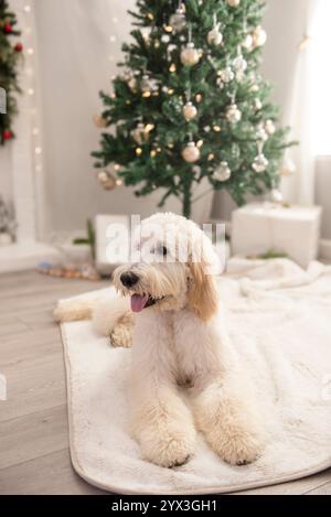 Goldene Kritzelei, die vor dem weihnachtsbaum liegt Stockfoto