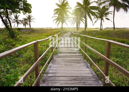 Fußgängerbrücke zum Strand mit Palmen in Aracaju, Sergipe, Brasilien Stockfoto