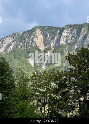 Dieses Bild zeigt eine atemberaubende Berglandschaft mit zerklüfteten Klippen und dichten Wäldern. Das Grün bildet einen wunderschönen Kontrast zum majestätischen Felsen Stockfoto